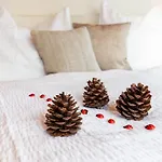 Appartamento Im Gaestehaus Warter In Altenmarkt Altenmarkt im Pongau