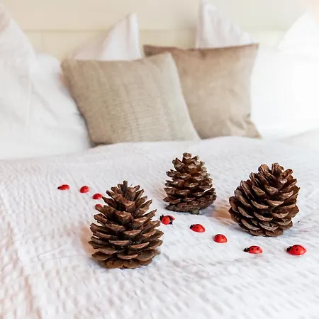 Appartamento Im Gaestehaus Warter In Altenmarkt Altenmarkt im Pongau