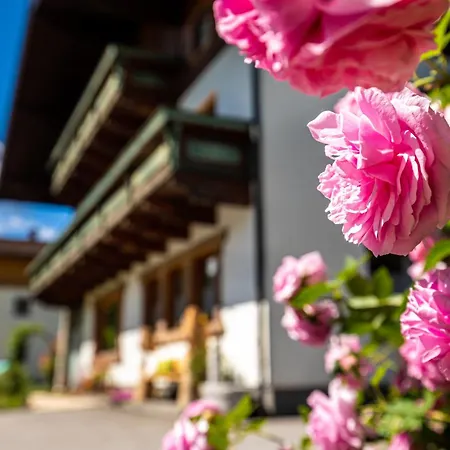 Im Gaestehaus Warter In Altenmarkt Apartment Altenmarkt im Pongau