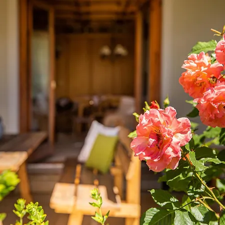 Im Gaestehaus Warter In Altenmarkt Altenmarkt im Pongau