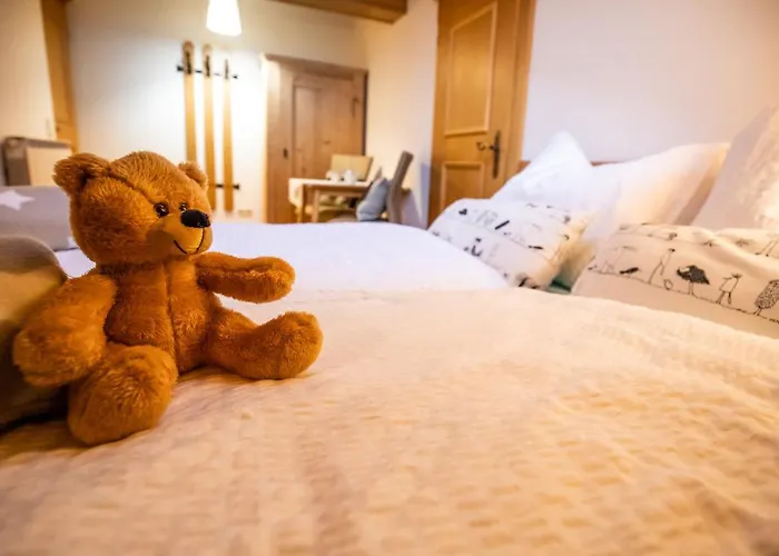 Appartement Im Gaestehaus Warter In Altenmarkt
